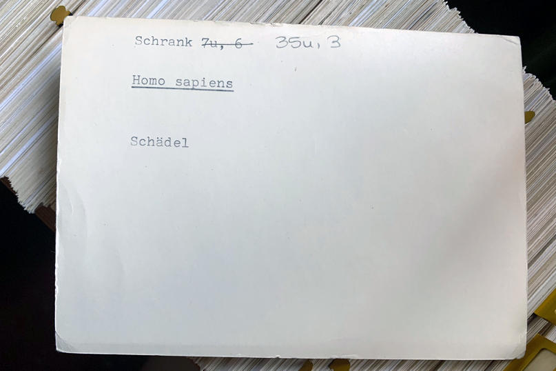 Lehrsammlung_Karteikarte