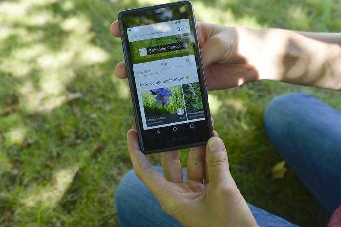 Mit Smartphone-Apps können auch Freiwillige dabei helfen, Stadtnatur für die Forschung zu kartieren. Ein Vorreiter auf diesem Gebiet ist die Universidad Complutense Madrid, die wie die Freie Universität zum Una Europa-Netzwerk gehört.