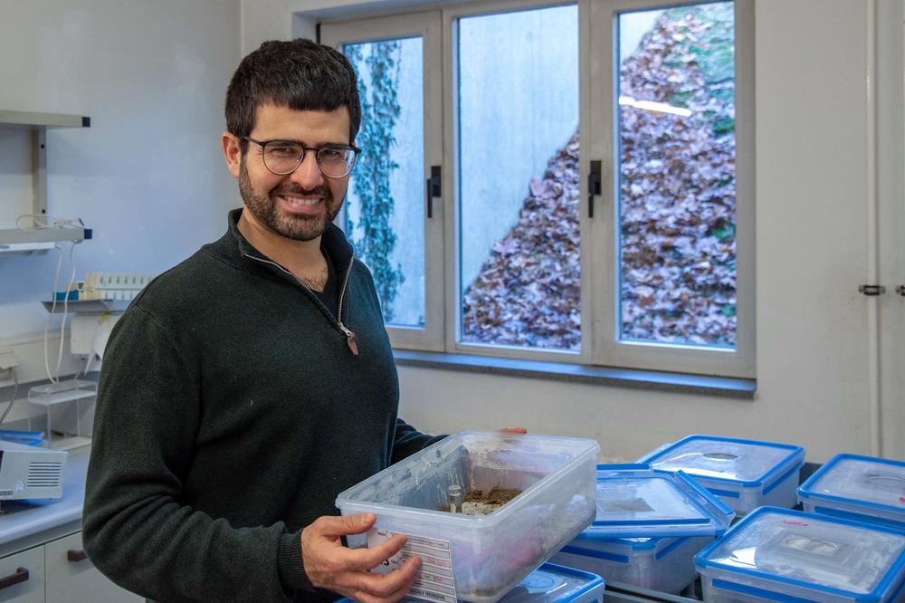 Ameisen faszinieren Tomer Czaczkes seit dem Studium.