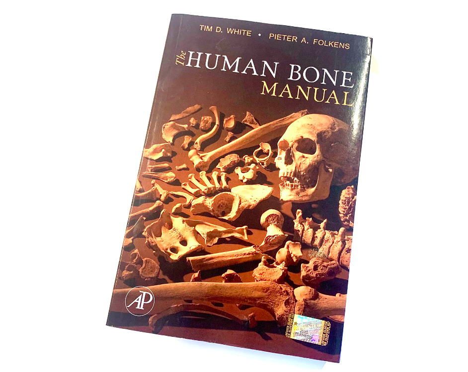 human bone manual photo