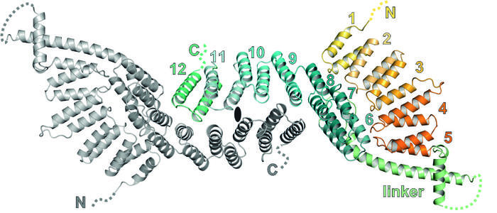 190416 Francesca PRPF39 structure