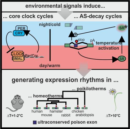 201123 Preussner in EMBO Reports