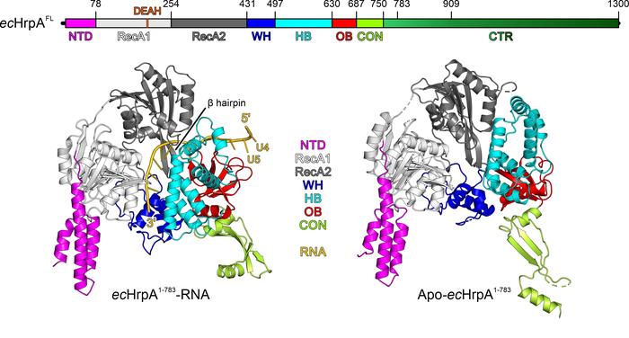 Grass in PNAS