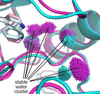 Comparison of water Networks in different kinase ATP pockets after MD simulation.