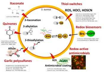 Fig. 2 Research Antelmann