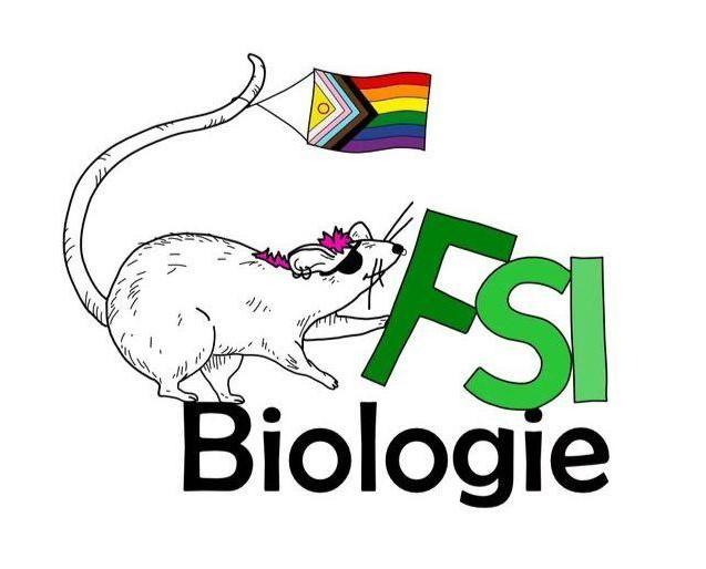 FSI Logo