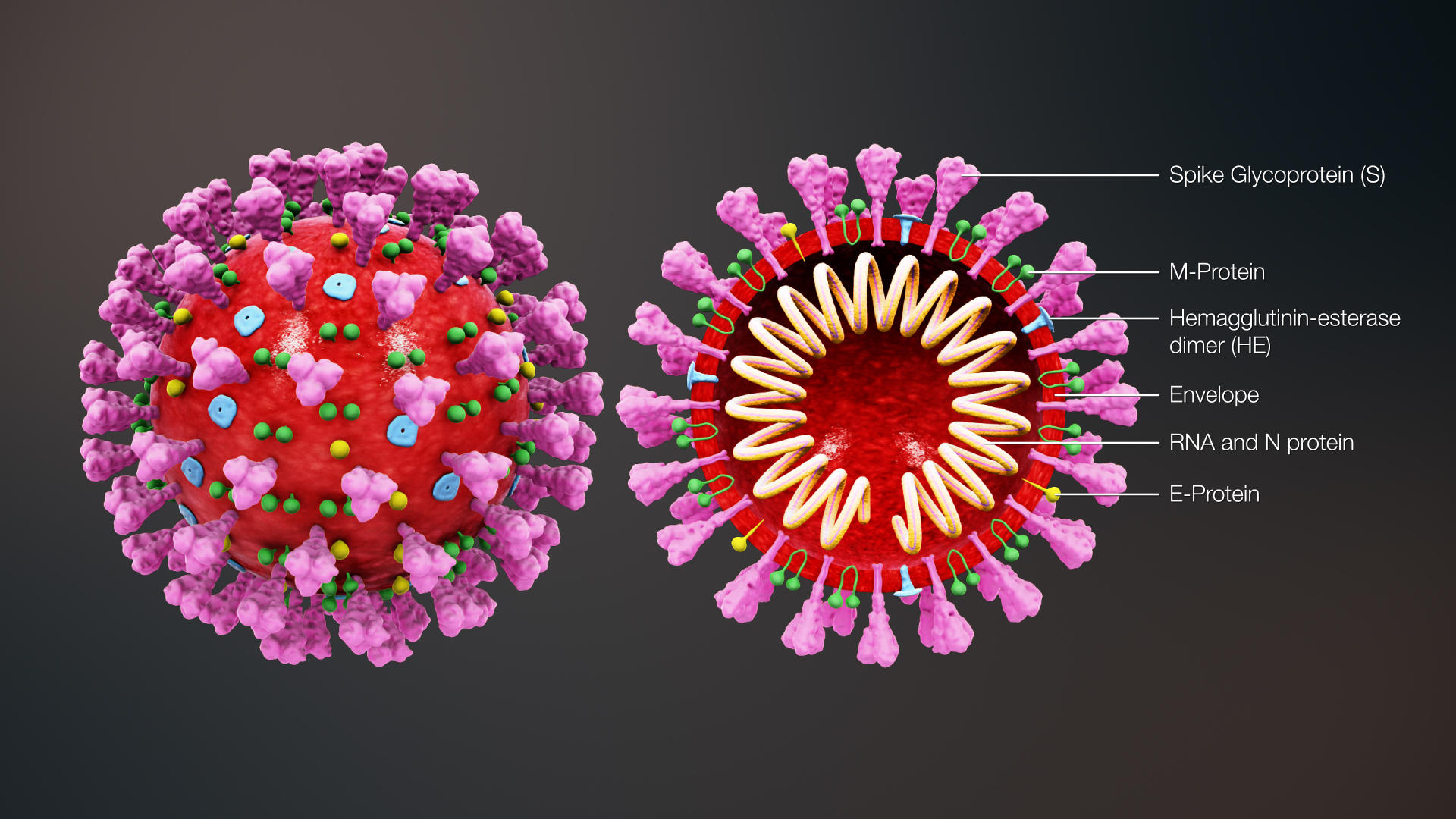  News About The New Coronavirus Kalender Freie Universit t Berlin